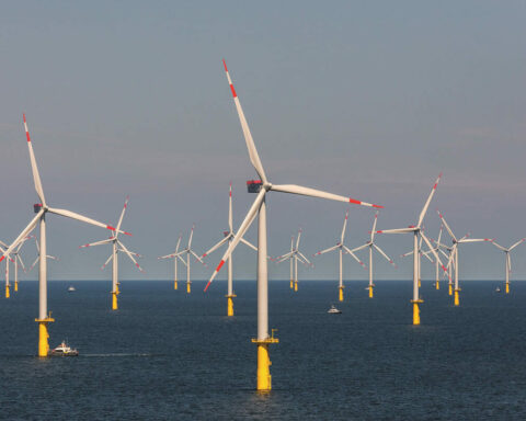 Die 80 Turbinen von Butendiek stehen in der Nordsee, rund 35 Kilometer vor der Westküste des nördlichen Schleswig-Holsteins. Foto: Paul Langrock