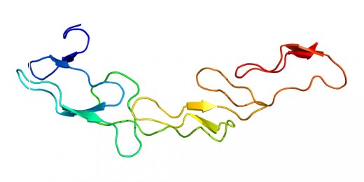 Immuntherapie gegen Krebs wird das CD40-Protein aktiviert. (Bild: Pleiotrope/Wikimedia, CC0)