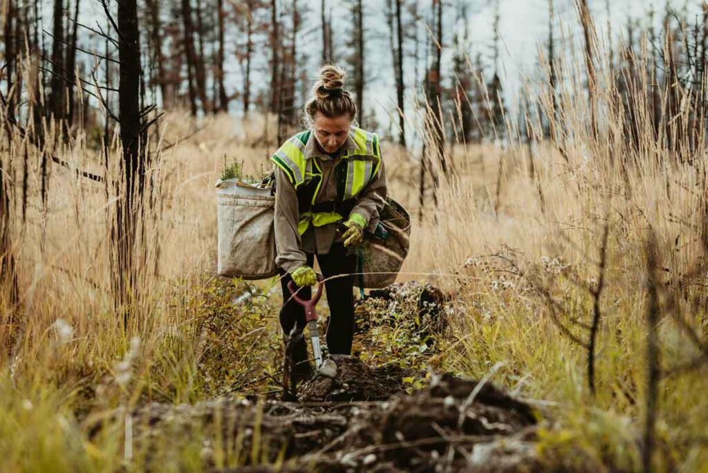 Tetra Pak - Restoring-ecosystems