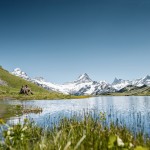 Grindelwald first / Bachalpsee